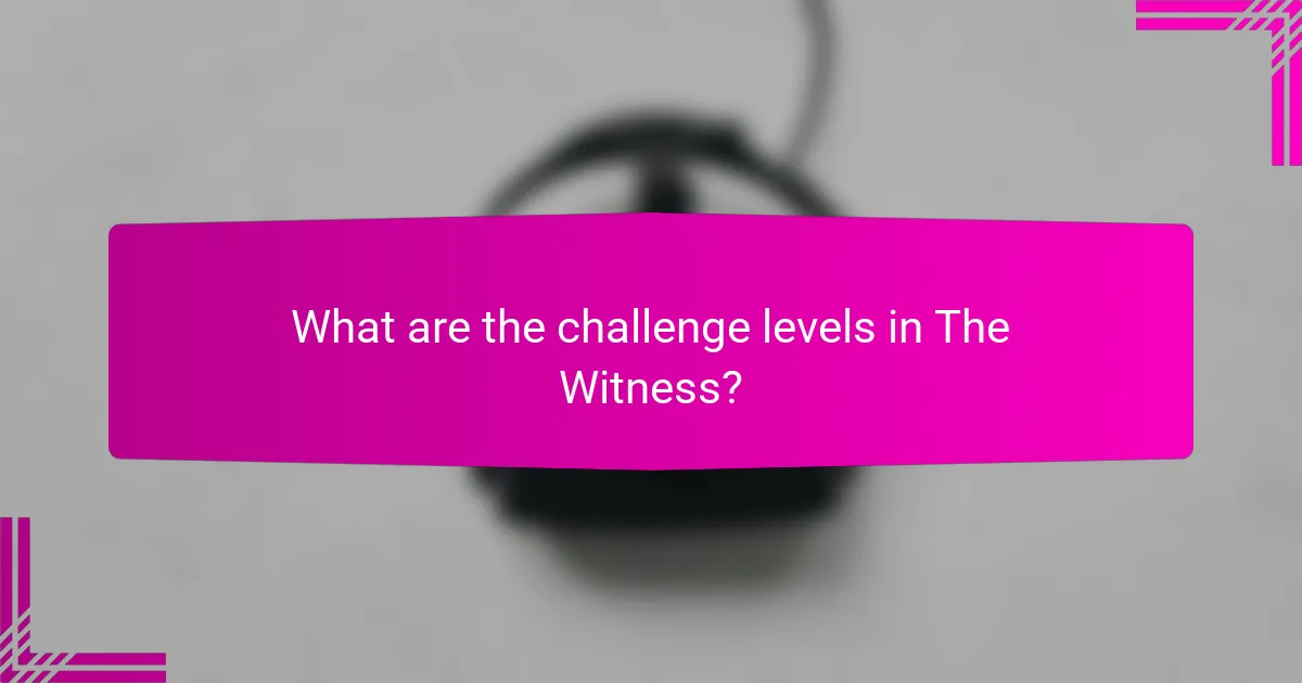 What are the challenge levels in The Witness?